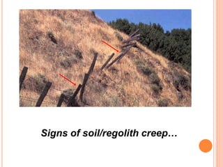 Signs of soil/regolith creep…
 