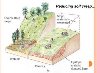 Reducing soil creep…
 