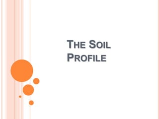THE SOIL
PROFILE
 