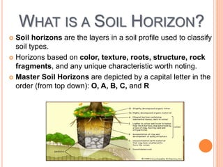 WHAT IS A SOIL HORIZON?
 Soil horizons are the layers in a soil profile used to classify
soil types.
 Horizons based on color, texture, roots, structure, rock
fragments, and any unique characteristic worth noting.
 Master Soil Horizons are depicted by a capital letter in the
order (from top down): O, A, B, C, and R
 