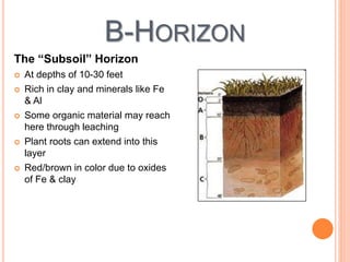 B-HORIZON
The “Subsoil” Horizon
 At depths of 10-30 feet
 Rich in clay and minerals like Fe
& Al
 Some organic material may reach
here through leaching
 Plant roots can extend into this
layer
 Red/brown in color due to oxides
of Fe & clay
 