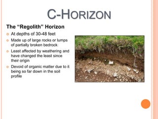 C-HORIZON
The “Regolith” Horizon
 At depths of 30-48 feet
 Made up of large rocks or lumps
of partially broken bedrock
 Least affected by weathering and
have changed the least since
their origin
 Devoid of organic matter due to it
being so far down in the soil
profile
 