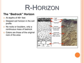 R-HORIZON
The “Bedrock” Horizon
 At depths of 48+ feet
 Deepest soil horizon in the soil
profile
 No rocks or boulders, only a
continuous mass of bedrock
 Colors are those of the original
rock of the area
 