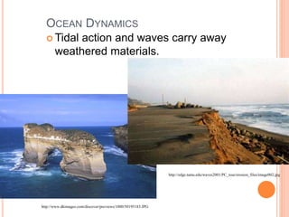 OCEAN DYNAMICS
 Tidal action and waves carry away
weathered materials.
http://www.dkimages.com/discover/previews/1000/50195183.JPG
http://edge.tamu.edu/waves2001/PC_tour/erosion_files/image002.jpg
 
