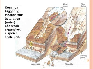 Common
triggering
mechanism:
Saturation
(water)
of a weak,
expansive,
clay-rich
shale unit.
 
