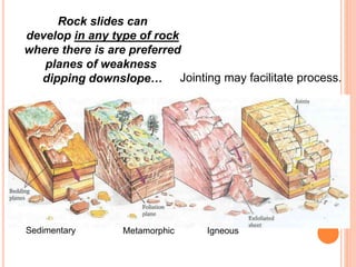 Rock slides can
develop in any type of rock
where there is are preferred
planes of weakness
dipping downslope…
Sedimentary Metamorphic Igneous
Jointing may facilitate process.
 