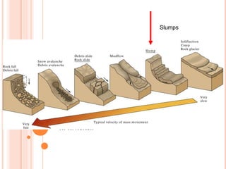 FIG. 16.12
W. W. Norton
Slumps
 