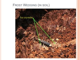 FROST WEDGING (IN SOIL)
Ice crystals
 