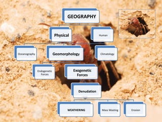 GEOGRAPHY
Physical
Oceanography Geomorphology
Endogenetic
Forces
Exogenetic
Forces
Denudation
WEATHERING Mass Wasting Erosion
Climatology
Human
 