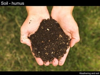 Soil - humus Weathering and soil 