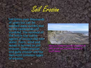 Weathering and Soil Formation Class 7 | PPTX