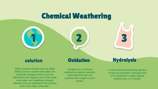 Chemical Weathering
2 3
1
solution Oxidation Hydrolysis
When soluble minerals such as halite
(NaCl) come in contact with water, the
positively charged sodium ions are
attracted to the negative end of the water
molecules, and negatively charged
chloride ions are attracted to the positive
end of the water molecules .
Oxidation is a chemical
weathering reaction whereby
metal elements like iron
combine with oxygen to form
oxides.
In the chemical weathering reaction
known as hydrolysis, hydrogen ions
(H+) contained in water replace
positive ions in a mineral.
 