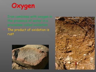  Iron combines with oxygen in 
the presence of water in a 
processes called oxidation 
 The product of oxidation is 
rust 
 