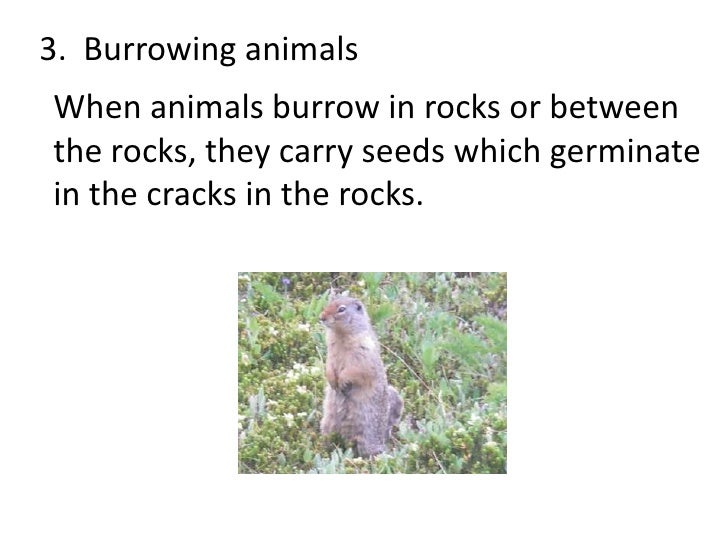 Weathering, erosion, deposition (teacher background)