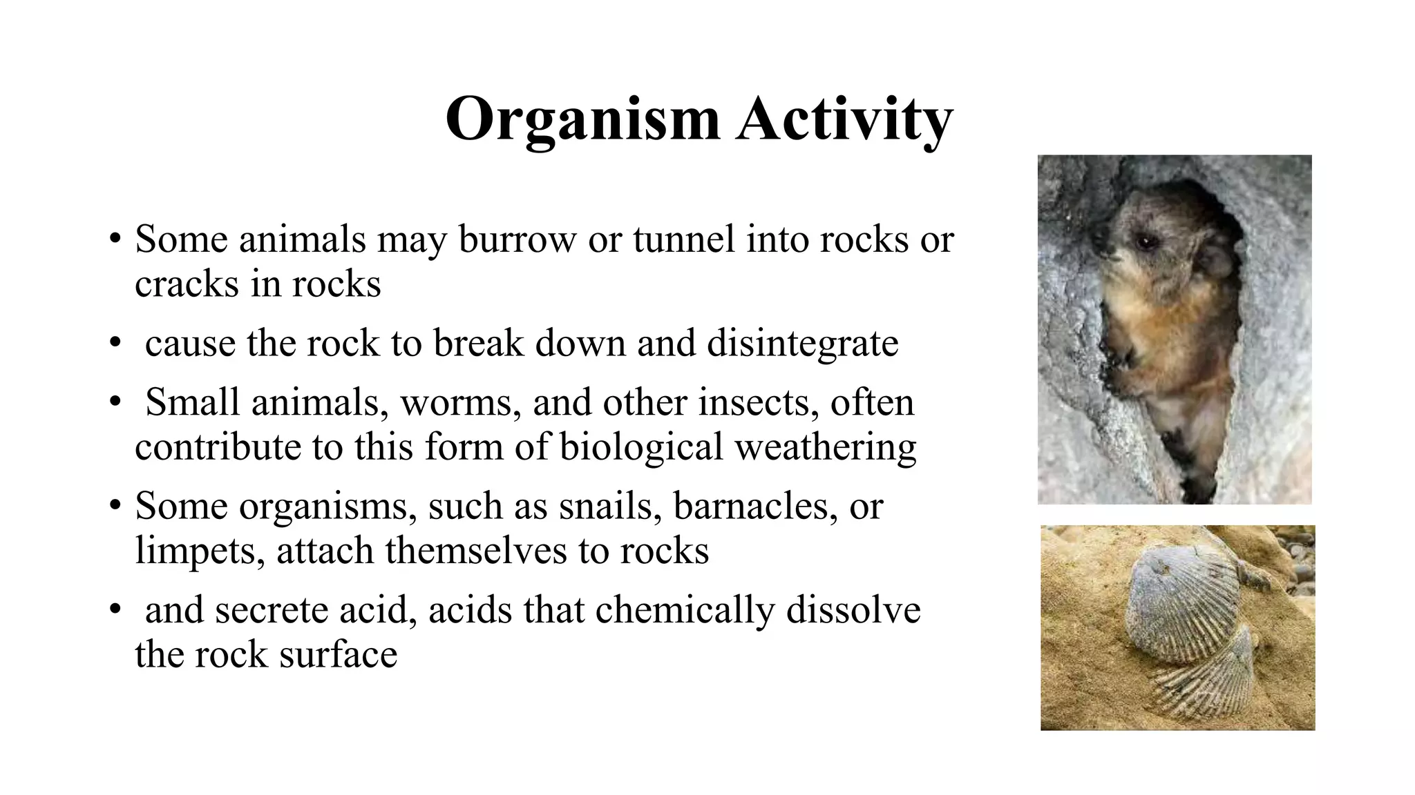 Weathering es taskeen ruubab 28145 1 (1) | PPTX