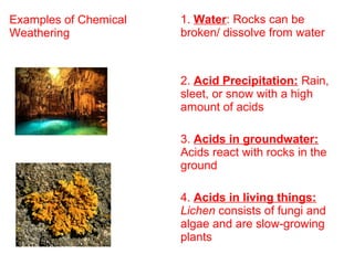 Examples of Chemical
Weathering
1. Water: Rocks can be
broken/ dissolve from water
2. Acid Precipitation: Rain,
sleet, or snow with a high
amount of acids
3. Acids in groundwater:
Acids react with rocks in the
ground
4. Acids in living things:
Lichen consists of fungi and
algae and are slow-growing
plants
 