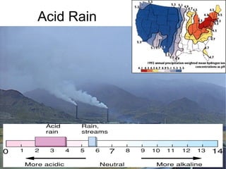 Acid Rain
 