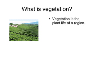 What is vegetation?
• Vegetation is the
plant life of a region.
 