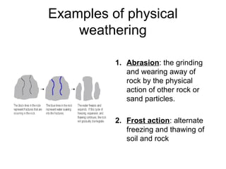 Examples of physical
weathering
1. Abrasion: the grinding
and wearing away of
rock by the physical
action of other rock or
sand particles.
2. Frost action: alternate
freezing and thawing of
soil and rock
 