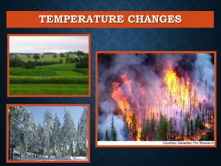 TEMPERATURE CHANGES
 