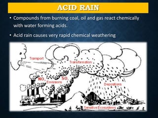 ACID RAIN
• Compounds from burning coal, oil and gas react chemically
with water forming acids.
• Acid rain causes very rapid chemical weathering
 