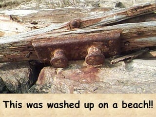 This was washed up on a beach!! 