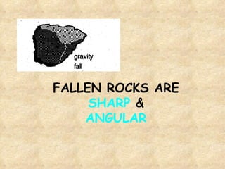 FALLEN ROCKS ARE SHARP  & ANGULAR 
