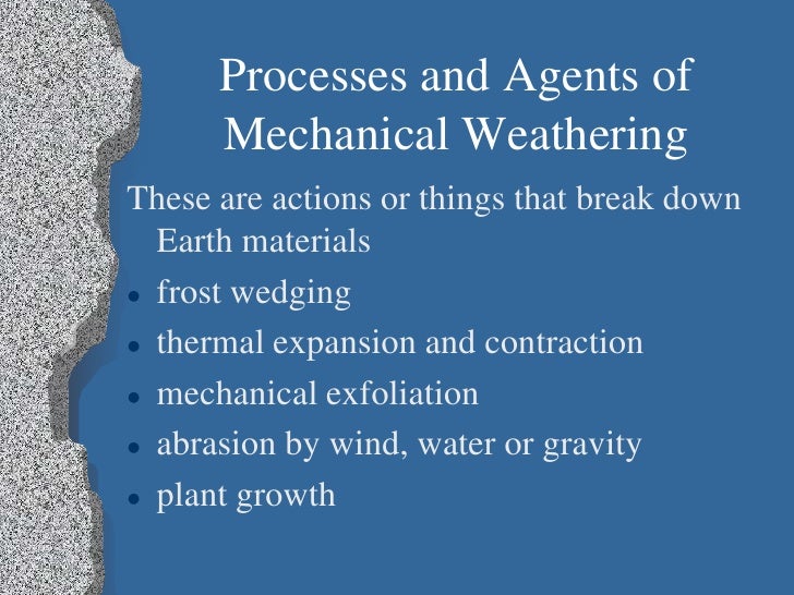 What are the types of mechanical weathering?