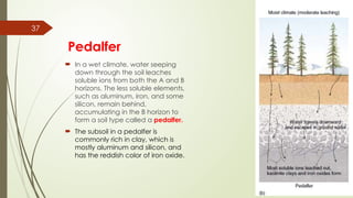 Pedalfer Examples Weathering__MSc_Geography_For_Geography _Students.pptx
