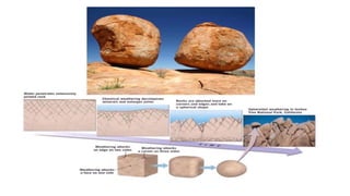Weathering Rocks Spring Weathering of Rocks.pptx