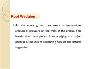 Weathering Processes | PPT