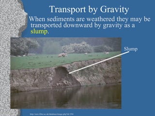 Transport by Gravity When sediments are weathered they may be transported downward by gravity as a  slump . Slump http://new.filter.ac.uk/database/image.php?id=594 