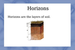 Horizons Horizons are the layers of soil.  