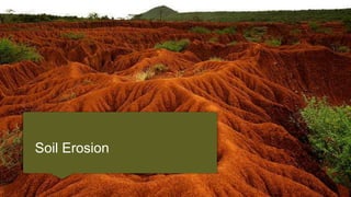 Weathering and Soil Erosion | PPTX