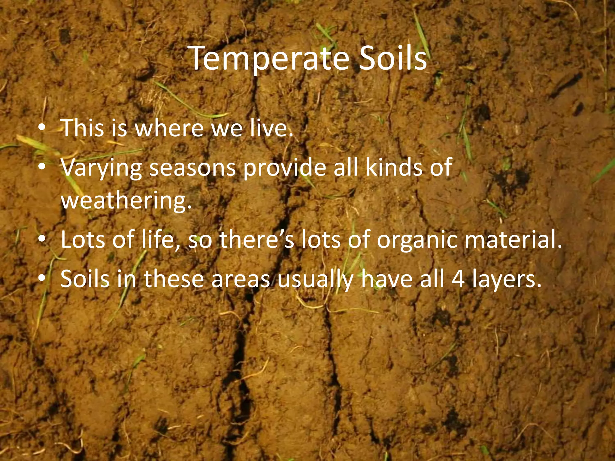 Temperate Soils
• This is where we live.
• Varying seasons provide all kinds of
  weathering.
• Lots of life, so there’s lots of organic material.
• Soils in these areas usually have all 4 layers.
 