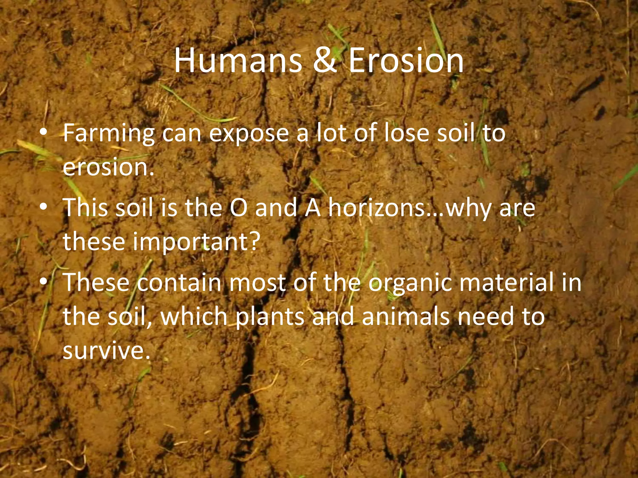 Humans & Erosion
• Farming can expose a lot of lose soil to
  erosion.
• This soil is the O and A horizons…why are
  these important?
• These contain most of the organic material in
  the soil, which plants and animals need to
  survive.
 