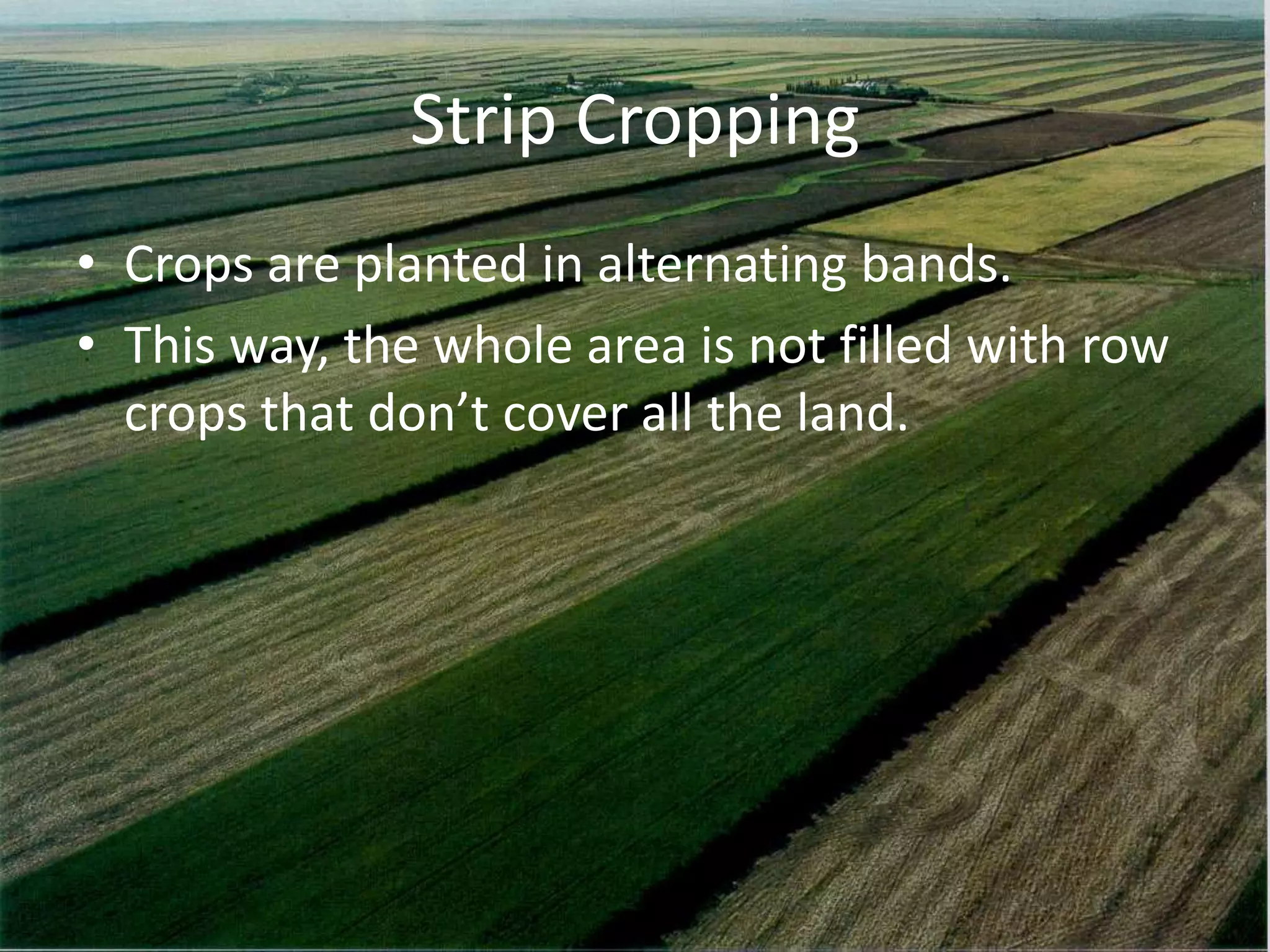 Strip Cropping
• Crops are planted in alternating bands.
• This way, the whole area is not filled with row
  crops that don’t cover all the land.
 