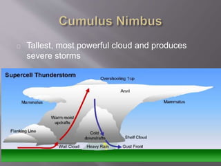 Tallest, most powerful cloud and produces 
severe storms 
 