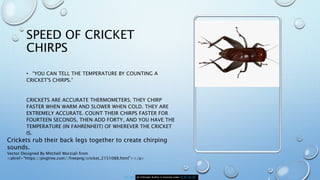 SPEED OF CRICKET
CHIRPS
• “YOU CAN TELL THE TEMPERATURE BY COUNTING A
CRICKET'S CHIRPS.”
CRICKETS ARE ACCURATE THERMOMETERS; THEY CHIRP
FASTER WHEN WARM AND SLOWER WHEN COLD. THEY ARE
EXTREMELY ACCURATE. COUNT THEIR CHIRPS FASTER FOR
FOURTEEN SECONDS, THEN ADD FORTY, AND YOU HAVE THE
TEMPERATURE (IN FAHRENHEIT) OF WHEREVER THE CRICKET
IS.
This Photo by Unknown Author is licensed under CC BY-SA-NC
Crickets rub their back legs together to create chirping
sounds.
Vector Designed By Mitchell Marziali from
<ahref="https://pngtree.com//freepng/cricket_2151088.html"></a>
 