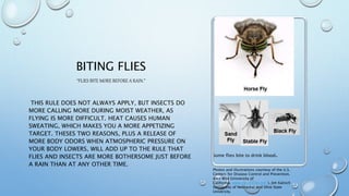BITING FLIES
“FLIES BITE MORE BEFORE A RAIN.”
THIS RULE DOES NOT ALWAYS APPLY, BUT INSECTS DO
MORE CALLING MORE DURING MOIST WEATHER, AS
FLYING IS MORE DIFFICULT. HEAT CAUSES HUMAN
SWEATING, WHICH MAKES YOU A MORE APPETIZING
TARGET. THESES TWO REASONS, PLUS A RELEASE OF
MORE BODY ODORS WHEN ATMOSPHERIC PRESSURE ON
YOUR BODY LOWERS, WILL ADD UP TO THE RULE THAT
FLIES AND INSECTS ARE MORE BOTHERSOME JUST BEFORE
A RAIN THAN AT ANY OTHER TIME.
Some flies bite to drink blood.
Photos and illustrations courtesy of the U.S.
Centers for Disease Control and Prevention,
Alex Wild (University of
California, www.myrmecos.net ), Jim Kalisch
(University of Nebraska) and Ohio State
University.
 
