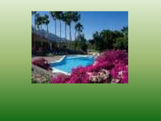 Weather pictures for discussion