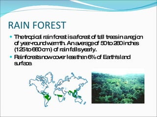 RAIN FOREST The tropical rain forest is a forest of tall trees in a region of year-round warmth. An average of 50 to 260 inches (125 to 660 cm.) of rain falls yearly. Rainforests now cover less than 6% of Earth's land surface.  