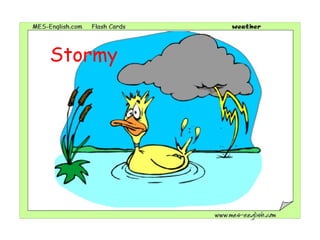 Stormy