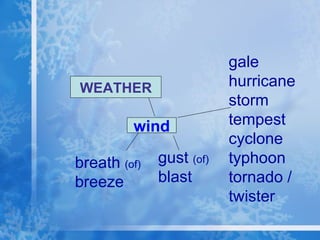 WEATHER wind gale hurricane storm tempest cyclone typhoon tornado / twister gust  (of) blast breath  (of) breeze 