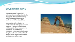 EROSION BY WIND
Wind erosion and transport is a
serious environmental problem in the
driest parts of the world, removing
soil from farmland and covering
whole towns with sand and dust.
A strong breeze (wind speed 20
km/h) can easily pick up dry dust and
fine sand. The lightest particles are
swirled up into the air and carried in
suspension for hundreds of
kilometres, whilst sand grains bounce
along the surface by saltation. Small
pebbles can be moved along with the
sand, a process called creep.
 