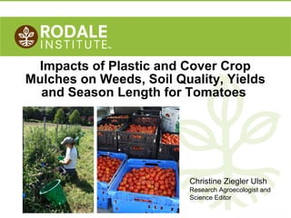 Impacts of Plastic and Cover Crop
Mulches on Weeds, Soil Quality, Yields
and Season Length for Tomatoes

Christine Ziegler Ulsh
Research Agroecologist and
Science Editor
©2010 Rodale Institute

 
