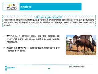 Zebunet



                                   Qu’est-ce que Zebunet?
Association à but non lucratif qui a pour but d’améliorer les conditions de vie des populations
des pays de l’hémisphère Sud par le soutien à l’élevage, sous la forme de micro-crédit
animal.




• Principe : Investir (seul ou par équipe de
  weavers) dans un zébu, confié à une famille
  malgache.

• Rôle de weave : participation financière par
  l’achat d’un zébu




                                                                    http://www.zebu.net
                                              11
 