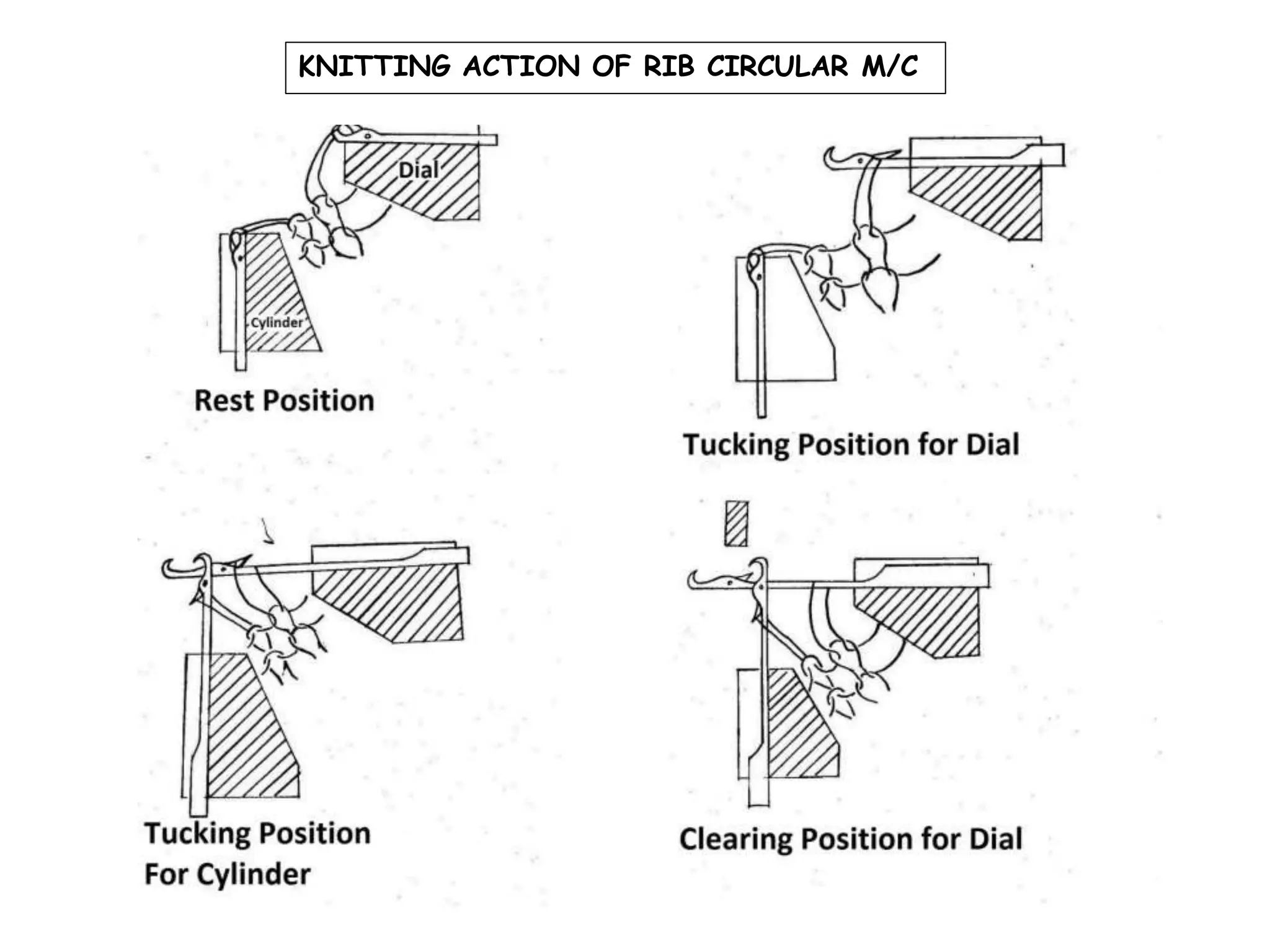 KNITTING ACTION OF RIB CIRCULAR M/C
 