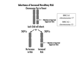 50% 50%
BRCA1
-chromosome 17
BRCA2 -
chromosome 13
 