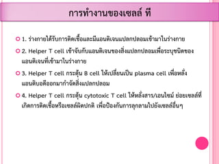  1. ร่างกายได้รับการติดเชื้อและมีแอนติเจนแปลกปลอมเข้ามาในร่างกาย
 2. Helper T cell เข้าจับกับแอนติเจนของสิ่งแปลกปลอมเพื่อระบุชนิดของ
แอนติเจนที่เข้ามาในร่างกาย
 3. Helper T cell กระตุ้น B cell ให้เปลี่ยนเป็น plasma cell เพื่อหลั่ง
แอนติบอดีออกมาก้าจัดสิ่งแปลกปลอม
 4. Helper T cell กระตุ้น cytotoxic T cell ให้หลั่งสาร/เอนไซม์ ย่อยเซลล์ที่
เกิดการติดเชื้อหรือเซลล์ผิดปกติ เพื่อป้องกันการลุกลามไปยังเซลล์อื่นๆ
การท้างานของเซลล์ ที
 